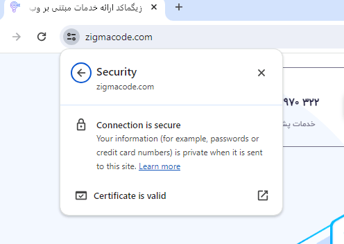 SSL Enabled Secure Site Example zigmacode